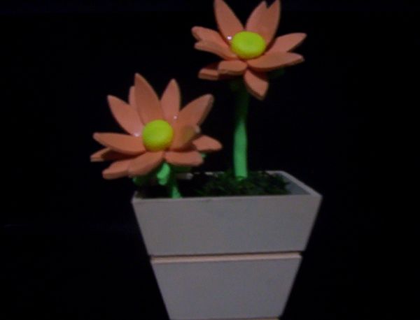 flor em biscuit