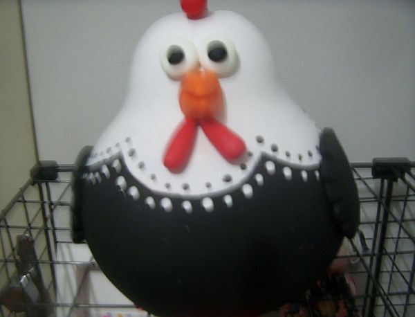 galinha de cabaça preta e branca